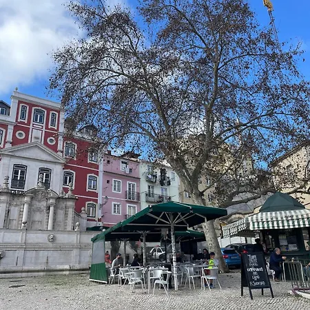 Apartamento Accogliente Con Terrazzo In Centro *
